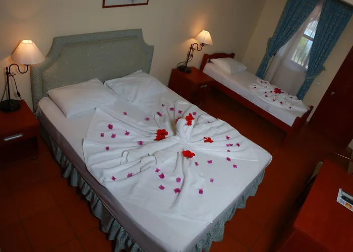 Club Meri Fethiye 3*